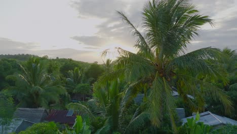 Coco-palm-tree-during-sunset-in-traditional-village-with-wooden-houses-on-Madagascar---drone-clip