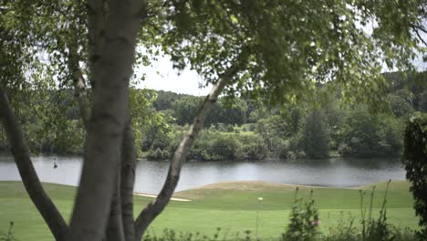 Golfplatz-Und-See-Mit-Baum-Im-Vordergrund,-Sommertag-Im-Mittleren-Westen