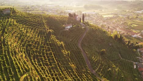 Aerial-landscape-view-over-the-famous-prosecco-hills-with-vineyard-rows,-Italy,-on-a-misty-morning
