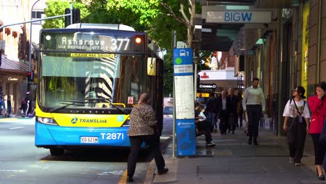 Öffentliche-Verkehrsmittel-In-Brisbane,-Statische-Aufnahme-Des-Busses-Ashgrove-377,-Der-An-Haltestelle-87-In-Der-Elizabeth-Street-Im-Zentralen-Geschäftsviertel-Auf-Fahrgäste-Wartet,-Tagsüber-Reger-Fußgängerverkehr-Auf-Der-Straße