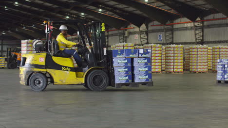 Background-image-shot-of-a-forklift-machine-carrying-boxes-of-bananas-in-the-warehouse