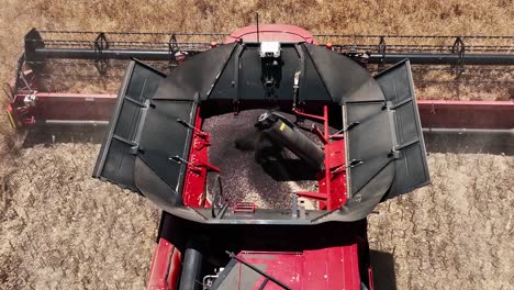 Step-into-the-world-of-cutting-edge-machinery-during-a-large-scale-canola-harvesting-operation