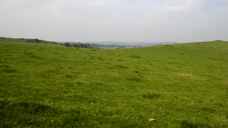 Looking-north-over-Throwley-moors