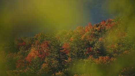 Hojas-Coloridas-Y-Vibrantes-En-Los-árboles-En-Nueva-Inglaterra.