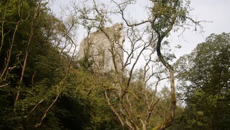 Shot-of-Ilam-rock-through-trees-at-dovedale