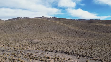 Capture-La-Belleza-Salvaje-De-Los-Guanacos-En-Un-Paisaje-Montañoso-Cubierto-De-Nieve-Con-Impresionantes-Imágenes-Tomadas-Con-Drones.
