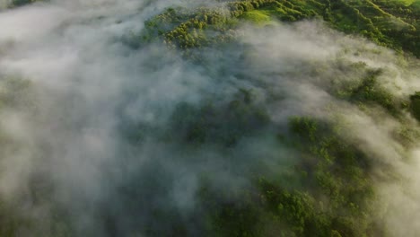 Top-orbit-shot-of-tropical-rain-forests-of-Costa-Rica_drone-view