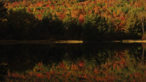 Colorful-leaves-trees-reflecting-off-tranquil-pond-New-England