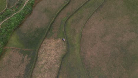 Birds-eye-view-of-local-rice-farmer-at-Ha-giang-Vietnam,-aerial