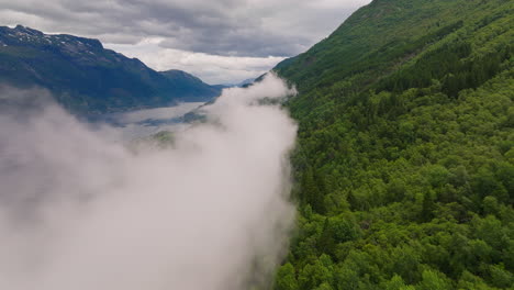 Capa-De-Niebla-De-Montaña-Sobre-El-Bosque-De-Montaña-Del-Pintoresco-Fiordo-De-Hardanger