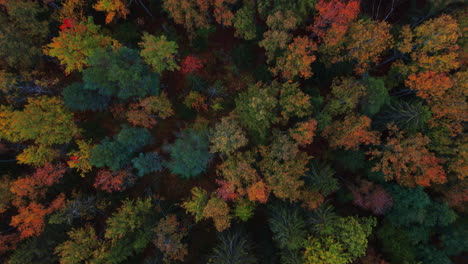 Flying-over-an-autumn-forest-with-green,-red,-yellow-and-brown-trees-and-tilting-up-to-reveal-lake-shore-and-lake-archipelago-islands-in-Valkeakoski,-Finland