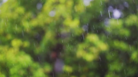 Focused-drizzle-rain-with-a-captivating-blur-of-forest-greenery-in-the-background