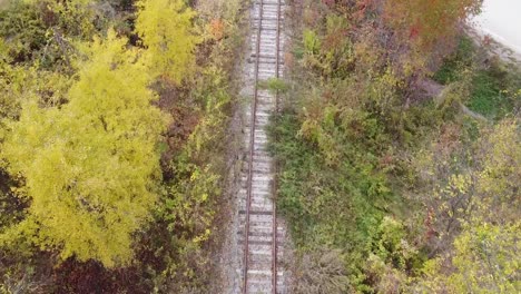 Aerial-birdseye-flying-over-railway-between-trees-next-to-road,-autumn-landscape