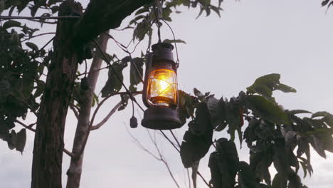 Illuminated-lantern-hanging-from-a-tree-branch,-casting-a-warm-glow