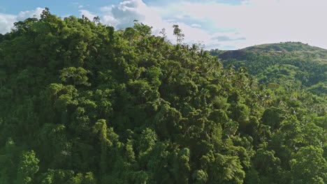 Aerial-drone-shot-circling-around-a-thick-jungle-mountainous-landscape-in-Surigao-Del-Norte,-Philippines