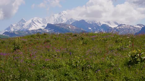 Mountain-landscape-in-summer-with-Mont-Blanc,-Auvergne-Rhône-Alpes-region