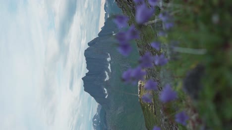 Vertikale-Aufnahme-Von-Wildblumen-Und-Bergen-In-Der-Ferne-In-Breitinden,-Norwegen
