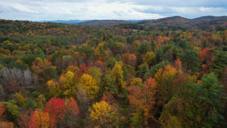 Drohnen-Rückansicht-Von-Generischen-Herbstblättern-An-Einem-Regnerischen-Tag,-West-Massachusetts,-USA