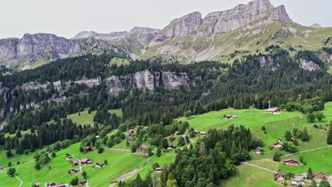 Resort-plantations-of-Swiss-pine-flora-of-Braunwald-Glarnerland