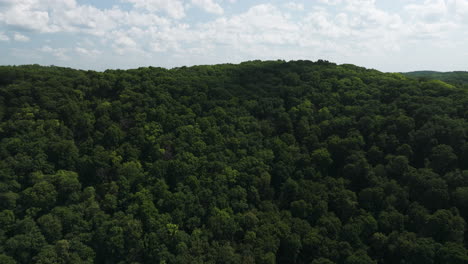 Aerial-View-Of-Thick-Verdant-Forest-Of-Great-River-Bluffs-State-Park-In-Minnesota,-USA