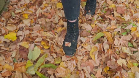 person-walks-slowly-on-golden-autumn-leaves,-close-up-track-shot-feet