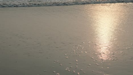 Kleine-Wellen-Brechen-Und-Bilden-Schaum-Am-Sandstrand-Der-Küste-Mit-Der-Spiegelung-Des-Sonnenuntergangs