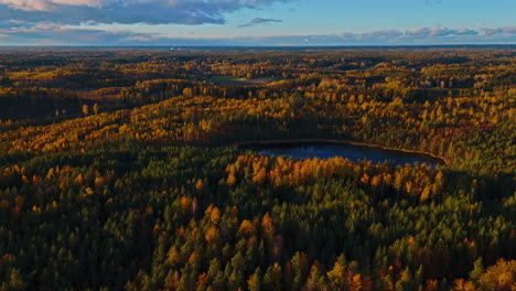 Flying-over-an-endless-forest-in-Sipoonkorpi-National-Park,-Finland