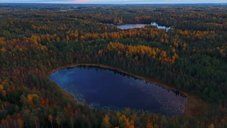 Aerial-shot-orbiting-a-small-pond-or-lake-in-the-middle-of-an-endless-wilderness-forest-in-Sipoonkorpi-National-Park-in-Finland