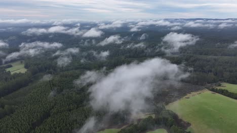 Fliegen-über-Buchenwald-Durch-Niedrig-Fliegende-Weiße-Wolken-Victoria-Australien