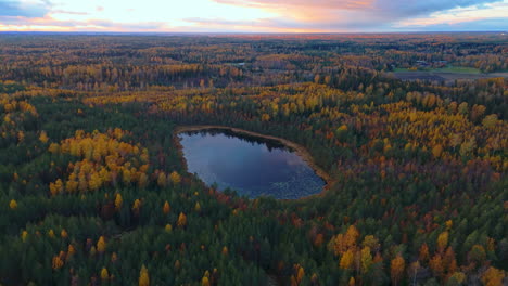 Luftaufnahme,-Die-Sich-Einem-Kleinen-Teich-Oder-See-Mitten-In-Einem-Endlosen-Wildniswald-Im-Sipoonkorpi-Nationalpark-In-Finnland-Nähert