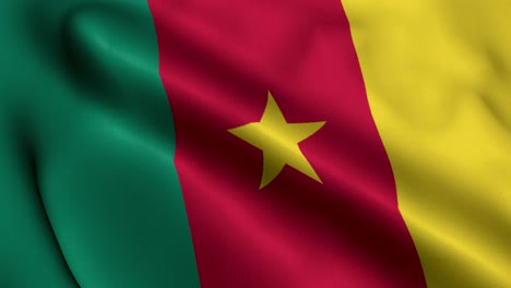 Bandera-De-Camerun