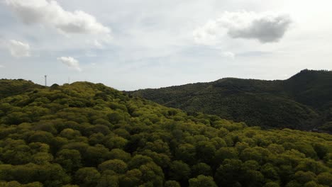 Lush-vibrant-forest-in-mountains-of-Spain,-aerial-view