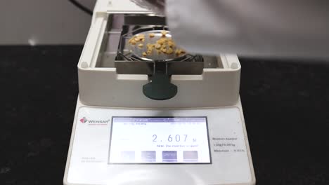 Testen-Von-Erdnusskernen-In-Einem-Feuchtigkeitsanalysegerät-Im-Erdnussbutter-Herstellungsprozess,-Exportlabor