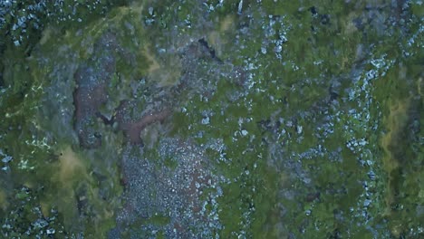 Top-down-aerial-of-Icelandic-soil-with-lava-rocks-and-green-moss