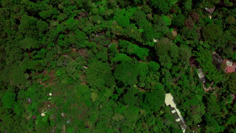 Costa-Rica-Jungles,-Top-Down-View