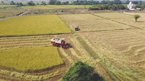 Kurvendrohnenaufnahme-Eines-Mähdreschers-Und-Eines-Traktors-In-Einem-Goldenen-Reisfeld-In-Einem-Dorf-In-Shivpuri,-Madhya-Pradesh,-Indien