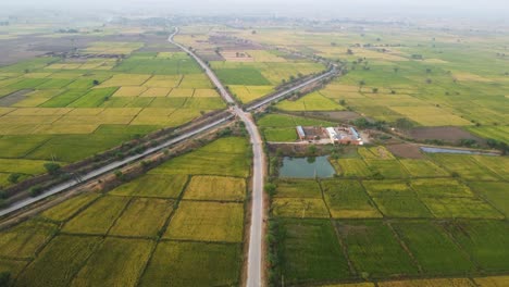 Aerial-drone-shot-of-green-paddy-rice-fields-and-irrigation-canal-in-rural-Gwalior-of-Madhya-Pradesh-India