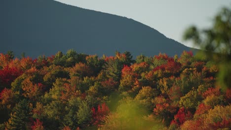 Vibrant-red-and-orange-hues-of-fall-foliage,-White-Mountains,-New-Hampshire