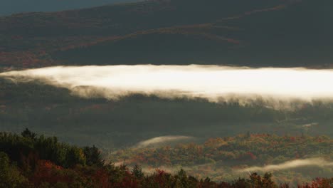 Der-Frühmorgendliche-Nebel-Leuchtet-Gelb,-Während-Er-über-Herbstlaubwälder-Rollt