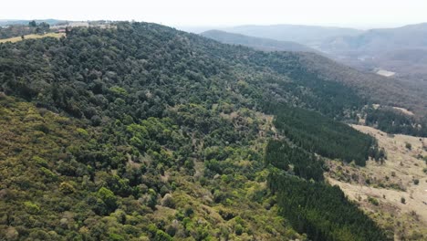 Drohnenantenne-über-Einem-Grünen,-üppigen-Australischen-Einheimischen-Berg-Mit-Bäumen