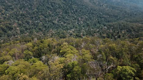 Drone-aerial-with-a-slow-pan-down-over-Australian-native-bush-lands-mountain