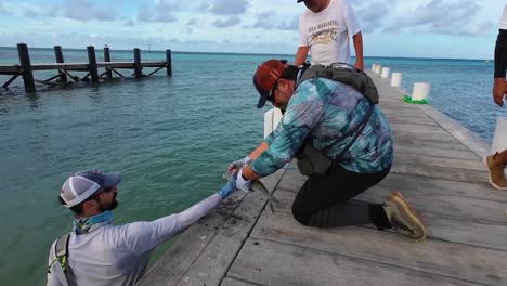 Fisherman-help-another-man-to-catch-Bonefish-recently-caught-on-dock,-Los-Roques