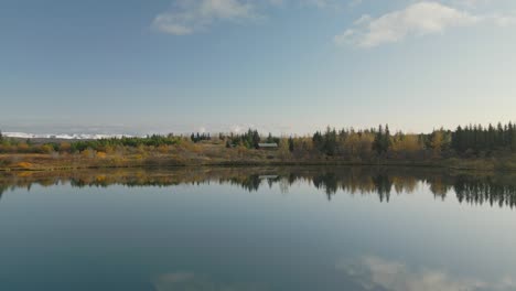 Symmetrical-waveform-of-Icelandic-trees-reflected-by-pure-lake-water,-glacier-in-the-background