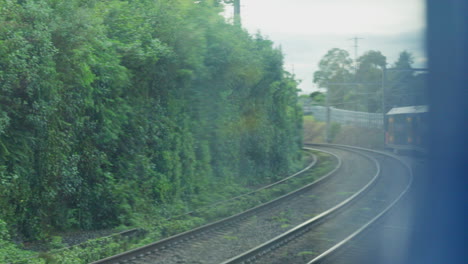 POV-Filming-out-of-a-train-window-during-the-early-dawn-as-it-passes-overgrown-hedgerows-in-Sydney-Australia
