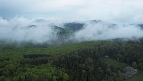 Volando-A-Través-De-La-Niebla-En-Los-Bosques-De-Las-Montañas-Del-Bajo-Tatra-De-Banska-Bystrica