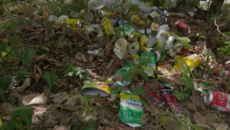 Fly-tipping-discarded-beer-cans-and-rubbish-thrown-into-woodland-area
