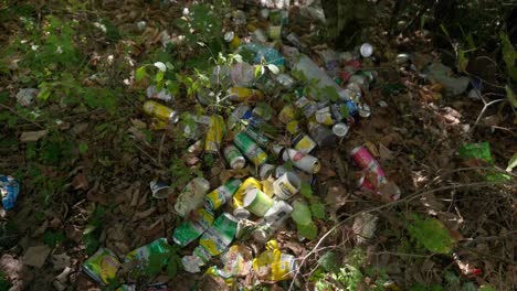 Discarded-empty-beer-tins-dumped-into-woodland-environment-fly-tipping