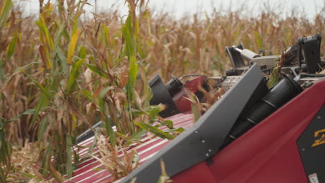 Grain-Head-Harvesting-Corn-in-a-Field,-Close-Up-Slow-Motion
