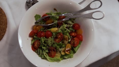 Salatschüssel-Mit-Buntem-Gemüse