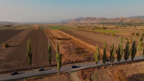 Drone-tracking-wide-shot-blue-car-driving-towards-mountains-along-a-sunlit-paved-road,-surrounded-by-green-trees-on-a-sunny-day